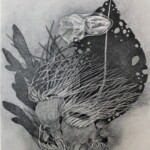 午前3時のサブタの海