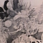 トラム海域の底