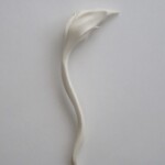 丹羽シゲユキ 華萌白(はなほうはく)