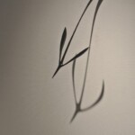 Murata そらおよぐ