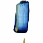 Cross-section of start-2023-22_oil on canvas_53x45_2023