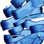 Cross-section of start-2023-5_oil on canvas_53x41_2023